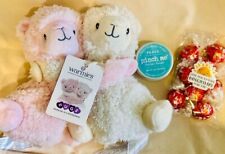 Mothers Day Gift - New Warmies Llama Hugs Care Package